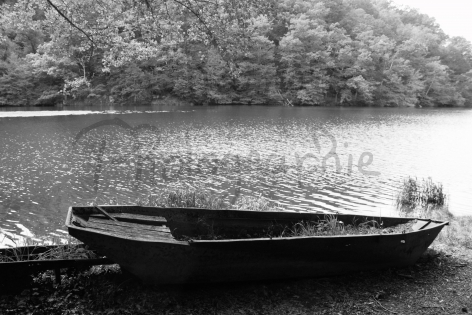Au bord d'un lac creusois  Le temps c'est comme arrêté ,
La barque depuis des années n'a pas bougé du bord du lac .
Les plantes l'ont  même prise pour un hamac . # MJ ; Chamaux photographie 
